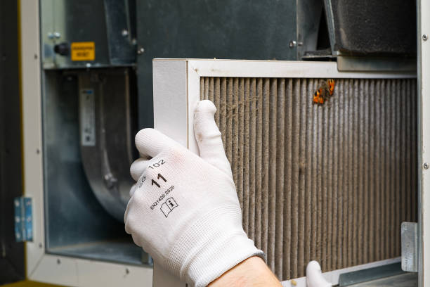 Best Professional Duct Cleaning Services  in California, MO